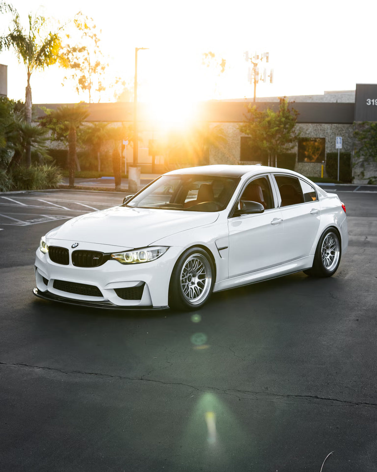 BMW F80 M3 - Skate Deck Wall Art